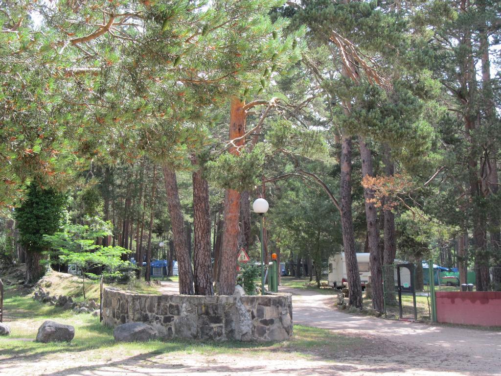 Camping Cobijo 비누에사 외부 사진